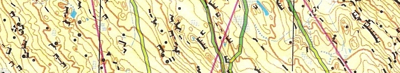 Leinster Orienteering Champs
